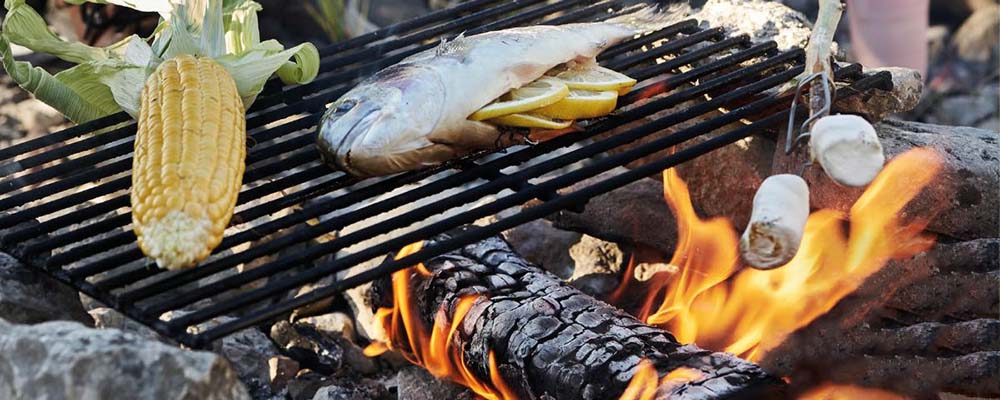 Mastering Open Fire Cooking